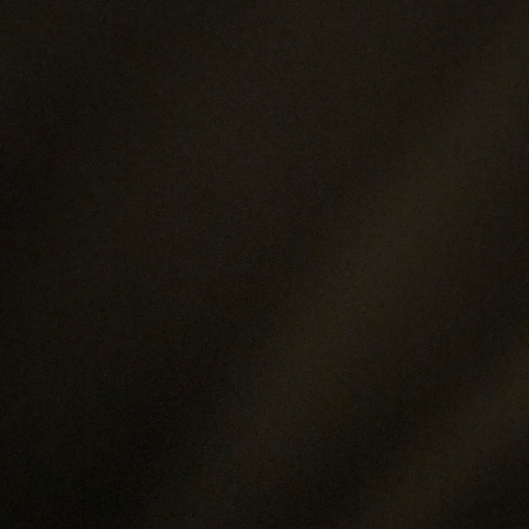 Meet your Posher, Talbot - Picture 1 of 1